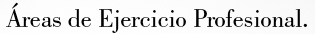 Areas de Ejercicio Profesional